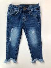 Load image into Gallery viewer, Blair Distressed Skinny Jeans