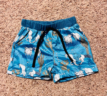 Load image into Gallery viewer, Blue Western Feel Boys Shorts