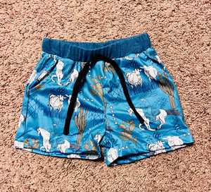 Blue Western Feel Boys Shorts